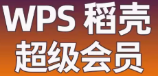 WPS稻壳超级会员月卡